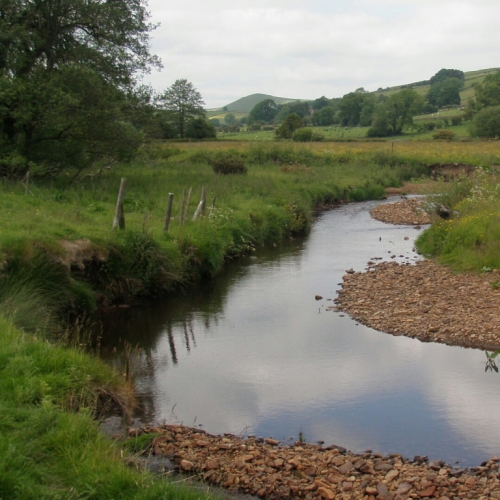 Headwaters Fly Fishing